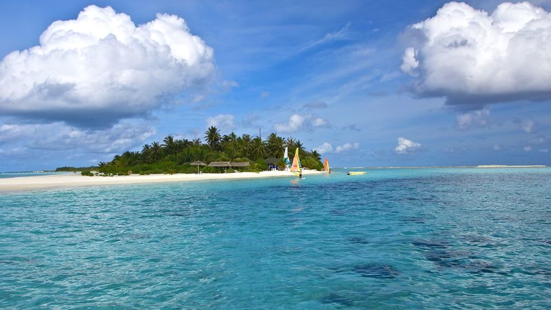 maldives, beach, tropical, sea, sand, palm trees, island, 4k