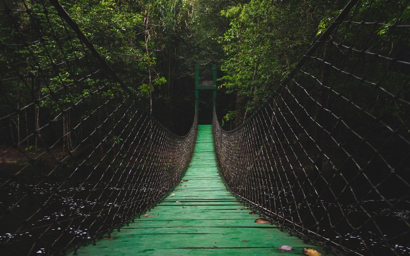 a rope bridge with chainlink handrails over a river in a dark forest, rope bridge 4k