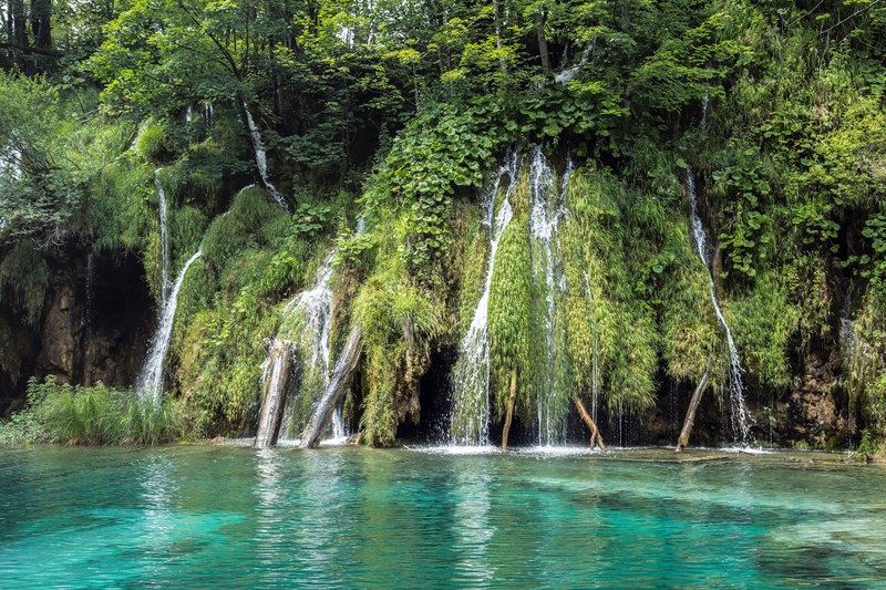 beautiful waterfall and green trees with moss near clear blue lagoon in spring, lagoon spring 4k