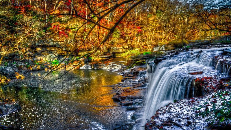 waterfall, forest, river, nature, 4k