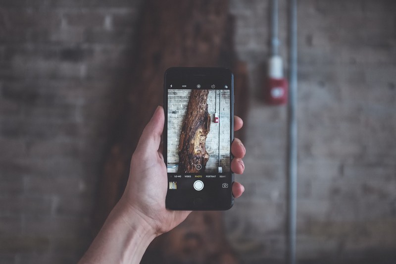 outstretched hand holds an iphone taking a picture of a tree, iphone photographer 4k