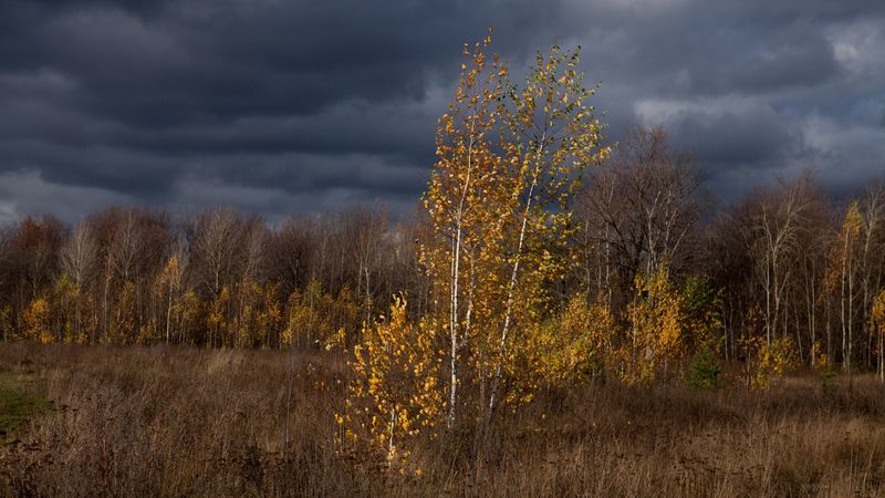 autumn, clouds, trees, nature, 4k