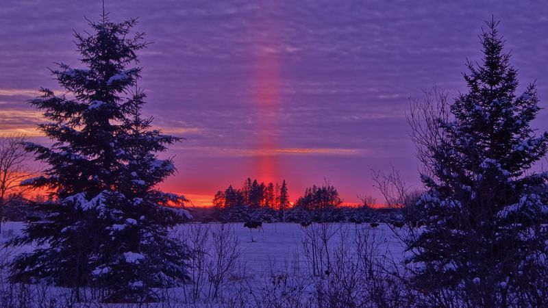 winter, sunset, field, landscape, 4k
