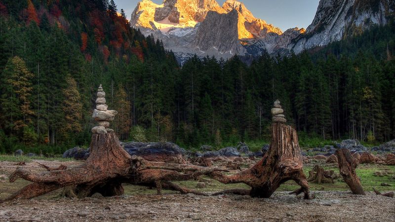 forest, mountains, driftwood, rocks, landscape, 4k