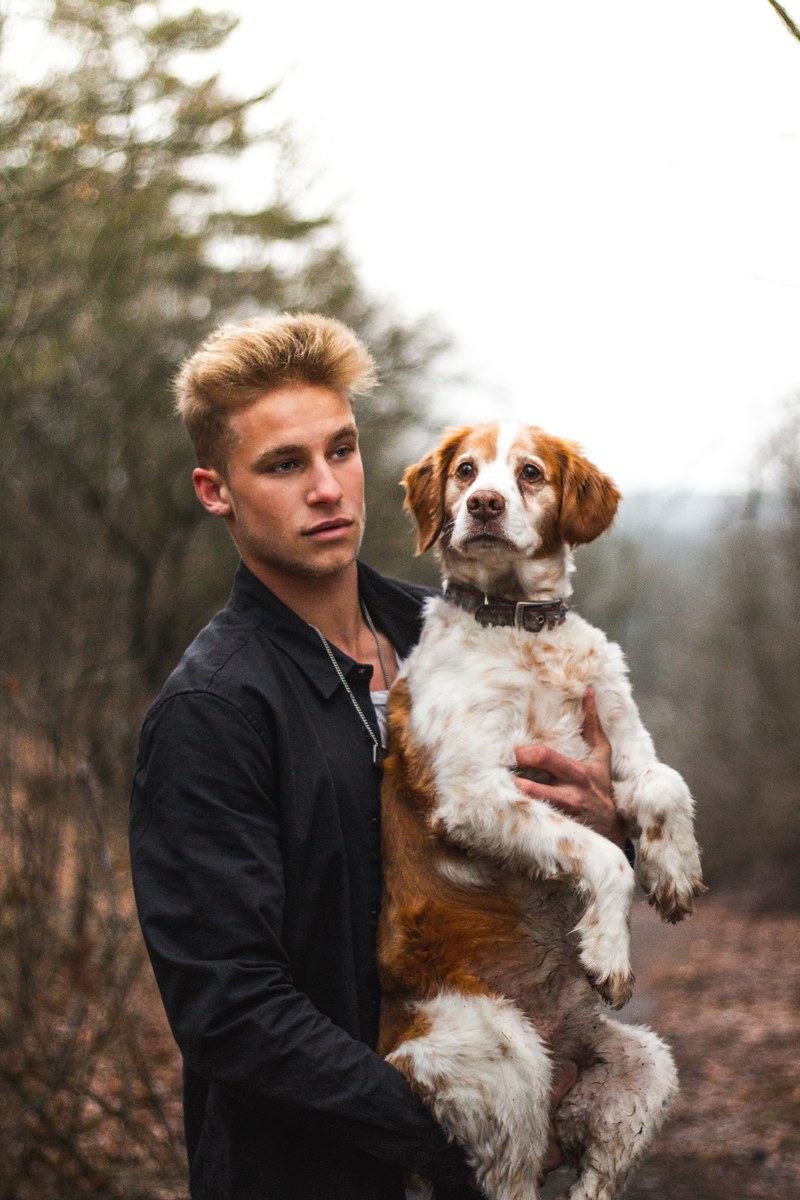 mans best friend 4k