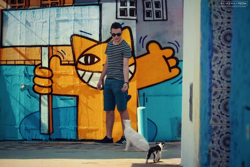 cat hello urban and street photography 4k