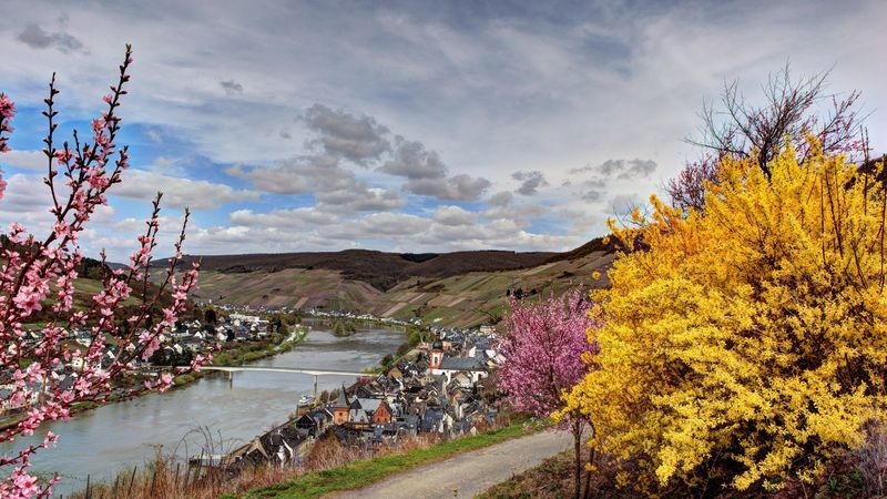 germany, river, bushes, 4k