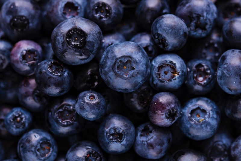 blueberry blueberries fruit and berry 4k