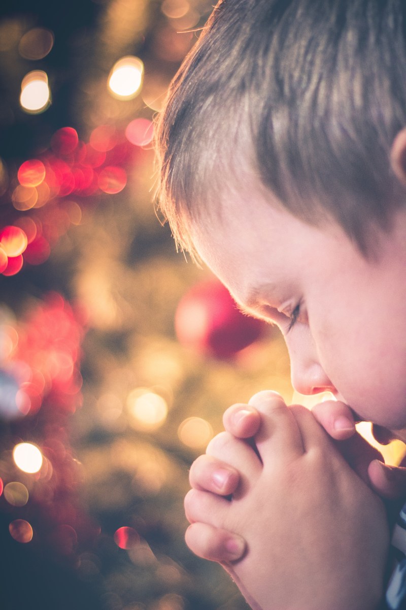 a little boy praying in front of a christmas tree, _little boy praying xmas 4k