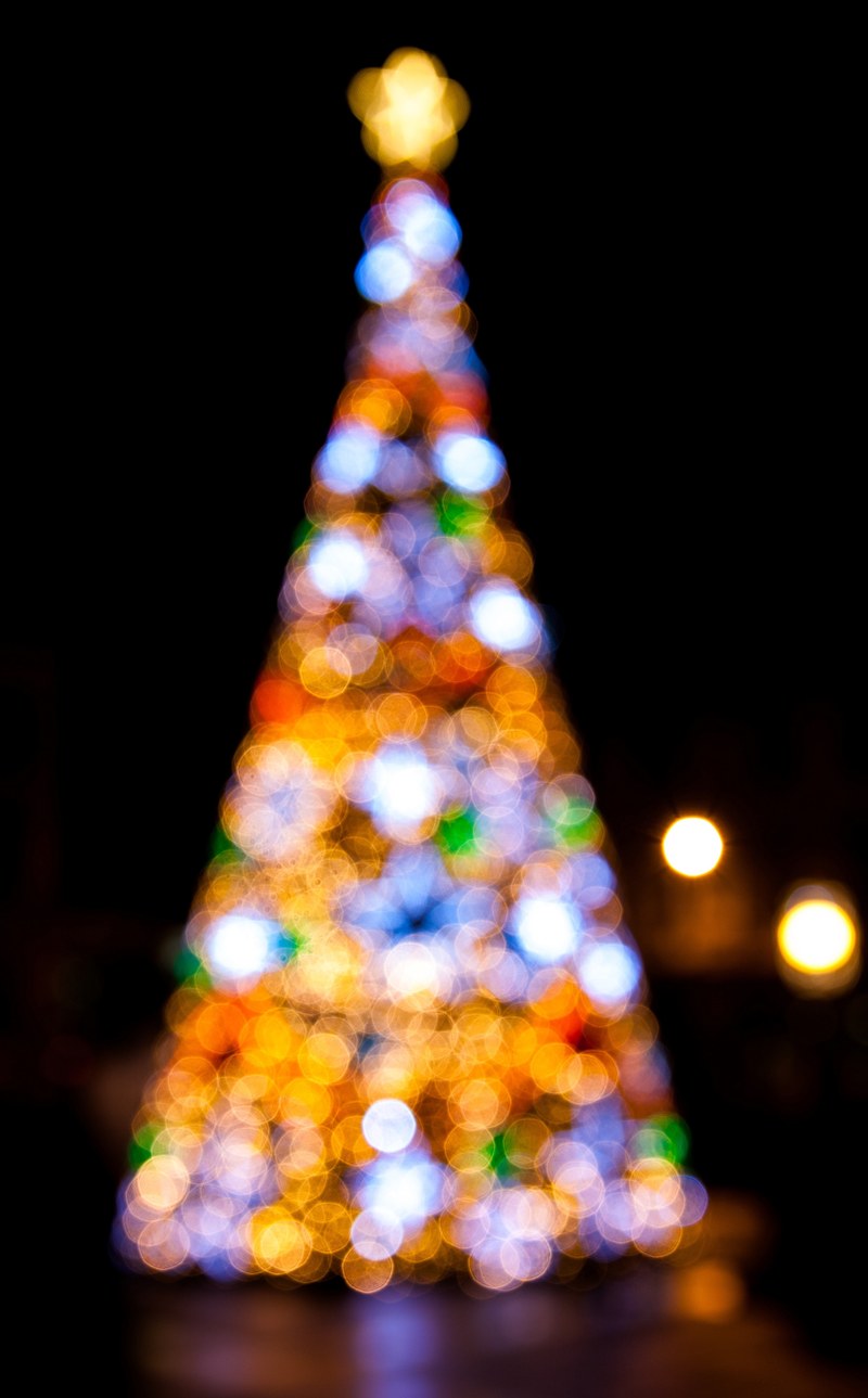 christmas festive tree and bokeh hd, 4k