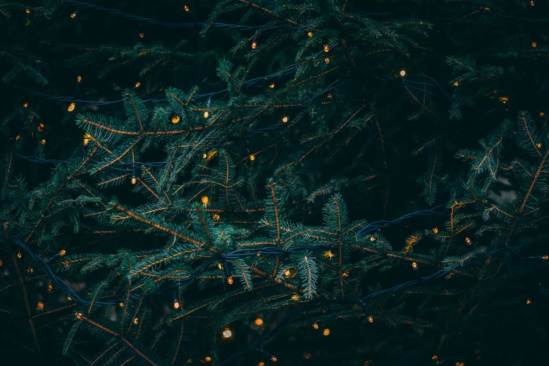 starting to feel like christmas 4k