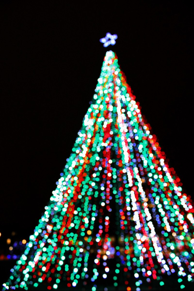 tree christmas tree star and lights hd, 4k