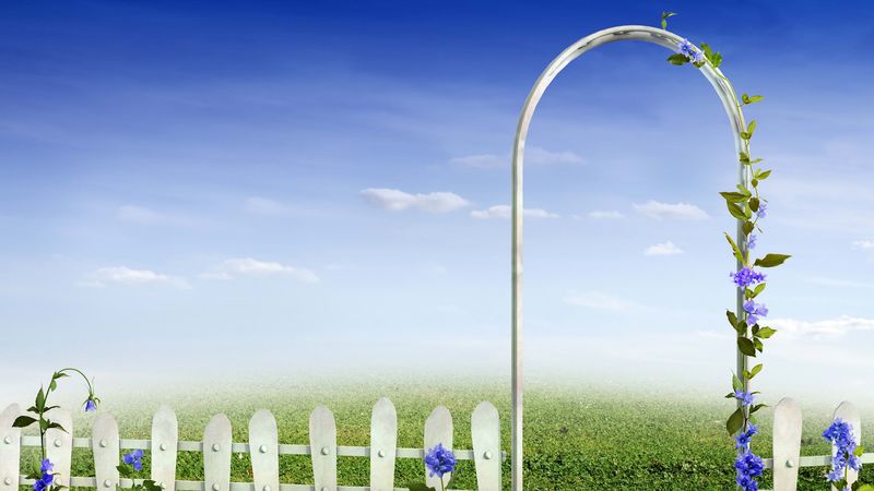 tale, drawing, fence, gates, flowers, 4k