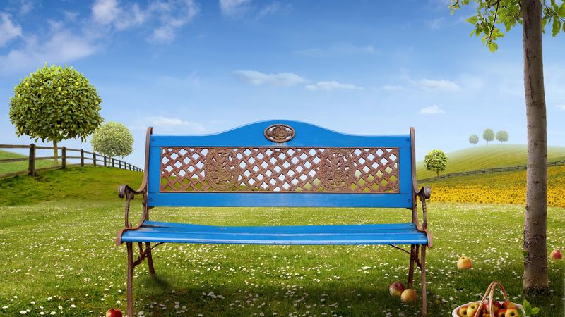 tale, bench, field, tree, basket, apples, chamomile, 4k