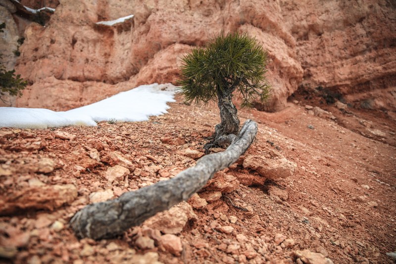 red rock utah rock and stone 4k