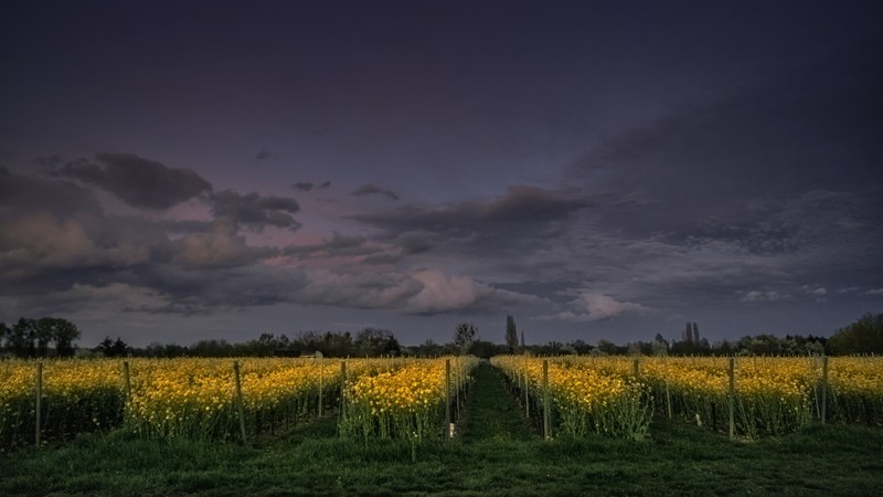pentax germany landscape and nature 4k