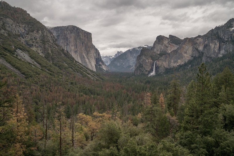 scenic mountainscape with lush green pine forest, tunnel view 4k