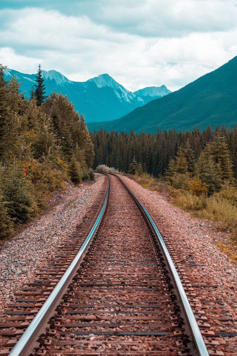 track mountain banff and tree hd, 4k