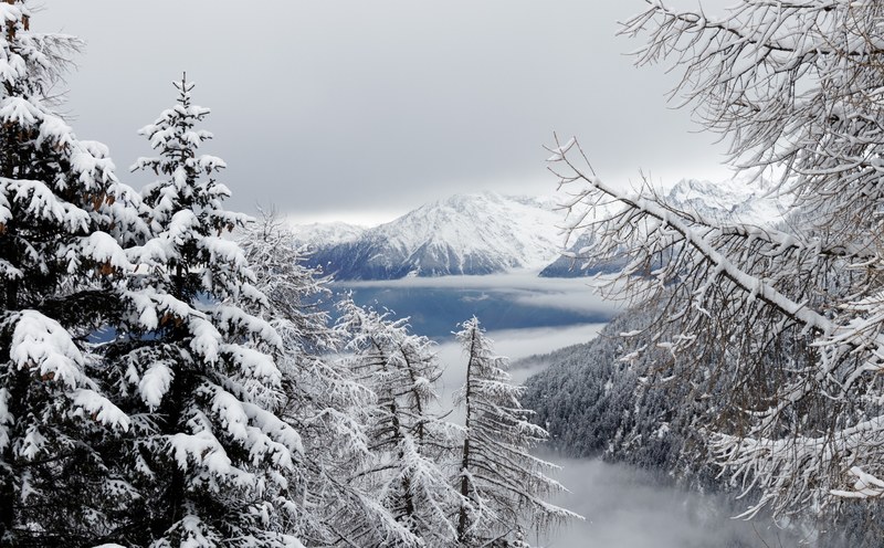 mountain wood outdoor and cloud 4k