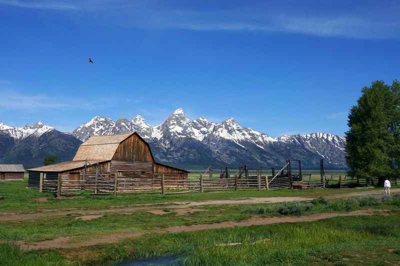 moulton barn grant tetons 4k