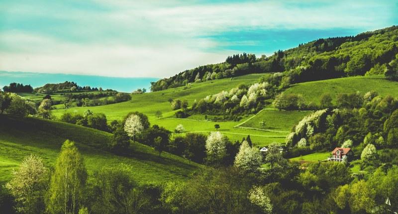 pentax germany nature and landscape 4k