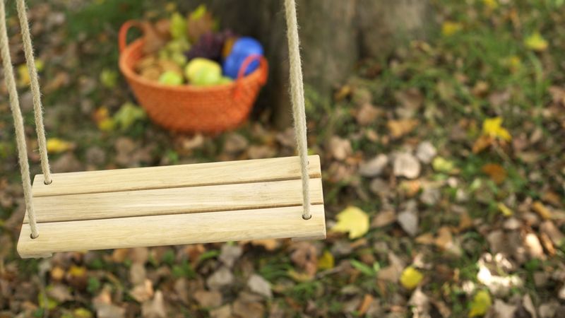 fall, swing, park, 4k