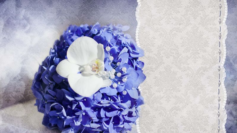 card, flowers, patterns, 4k