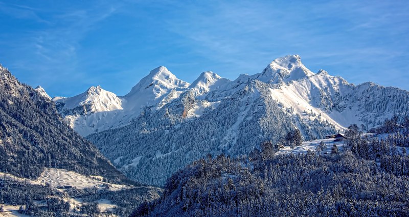 winterland 4k