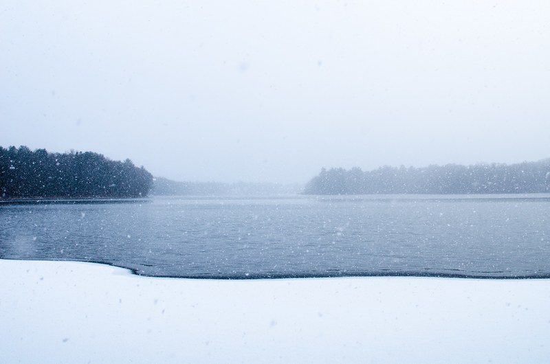 snow falls on a dark frozen lake surrounded by tees, snowfall on a frozen lake 4k