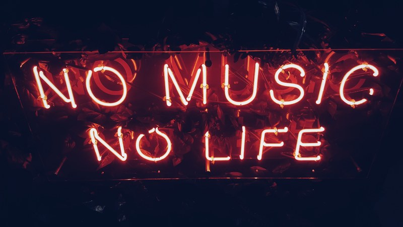 a red neon reads no music no life against a dark background, no music no life 4k