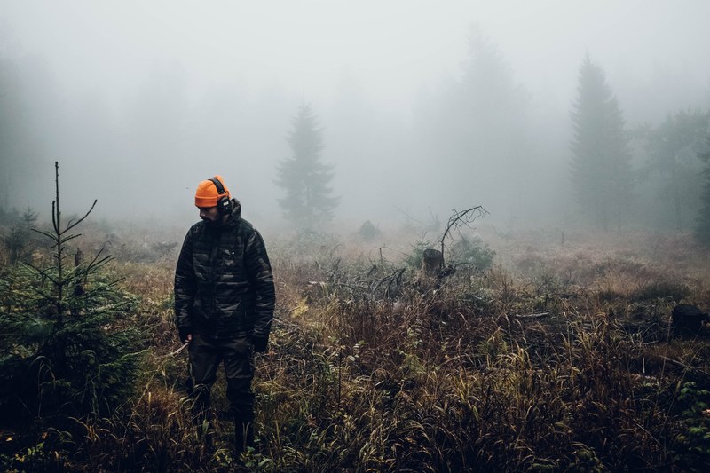moose hunting up north 4k