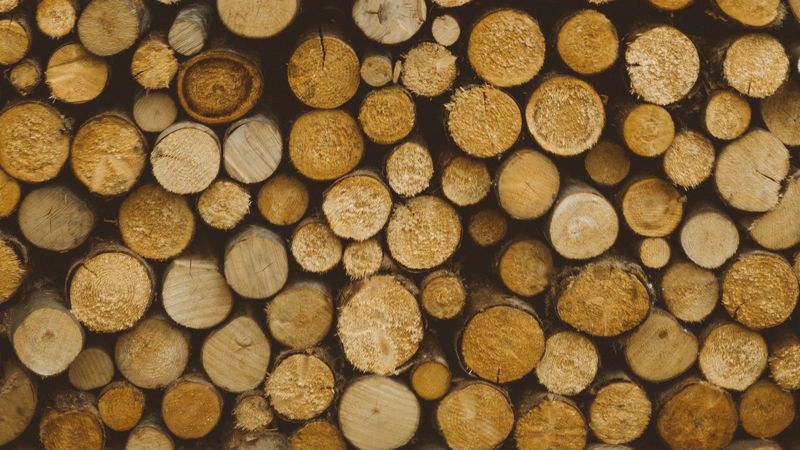 logs, wooden, wood, cut, 4k