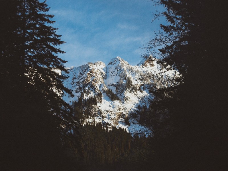 a steep snow covered slope partially obscured by tall conifers in the mount baker national forest, white mount baker slope 4k