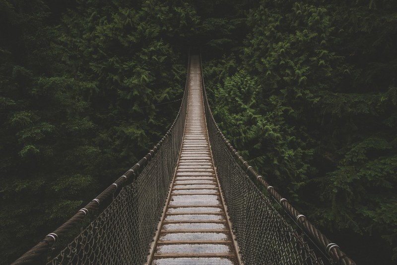 an empty suspension bridge leading to a dense forest, bridge into a green thicket 4k
