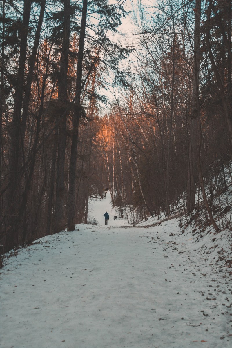 take the path that is less traveled by_ 4k