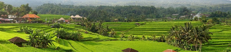 jatiluwih rice terraces of bali indonesia 4k