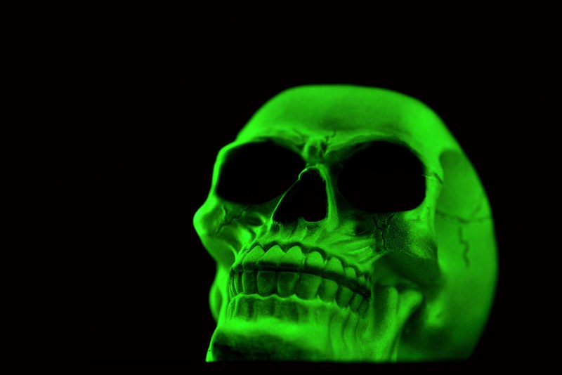 phosphorescent skull 4k