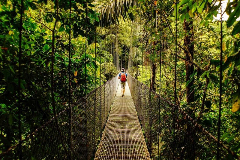 costa rica rainforest hike 4k