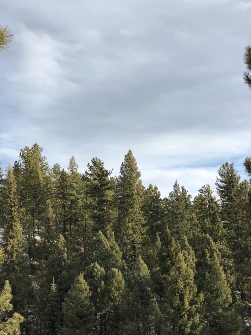 rockies 4k