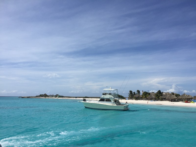 klein curacao 4k
