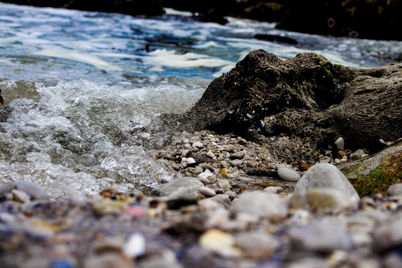 salty blues 4k