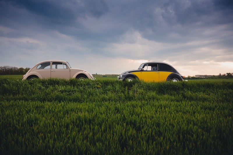 two vintage volkswagen beetles in a grass field on a cloudy day in dolnek, two vintage volkswagen beetles in the grass field 4k