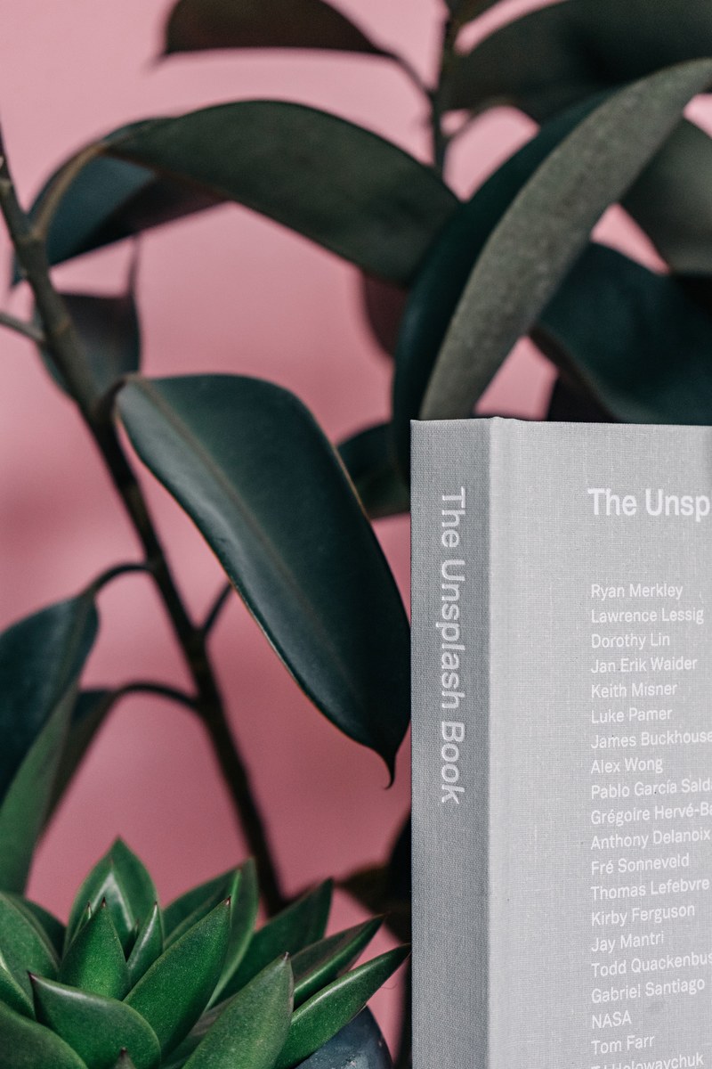 unsplash book sitting in front of indoor plants, unsplash book in front of plants 4k