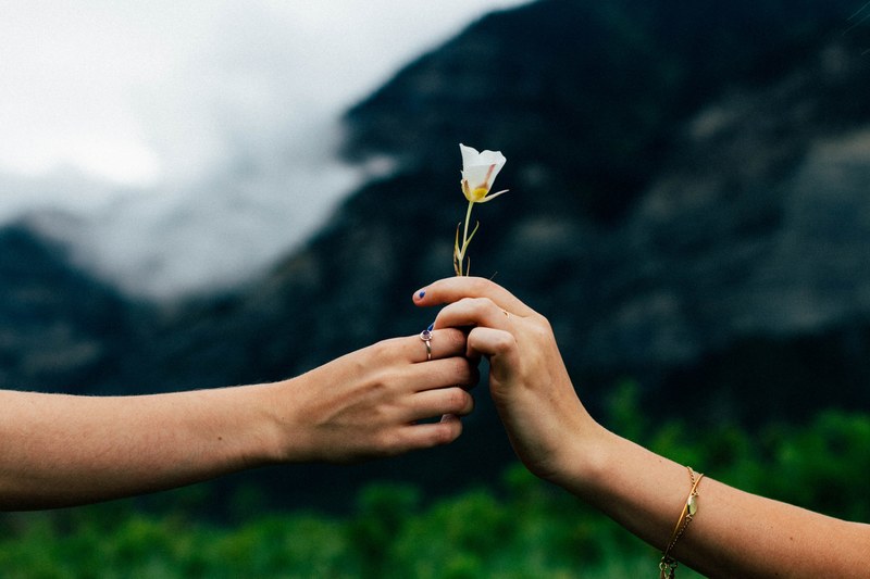 a flower being passed romantically from hand to hand, take this flower 4k