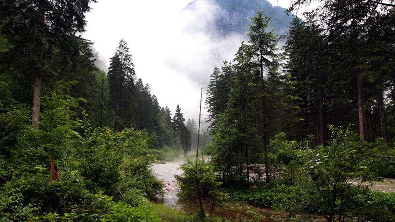 river, forest, nature, 4k