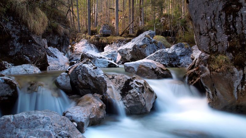 river, forest, rocks, nature, 4k