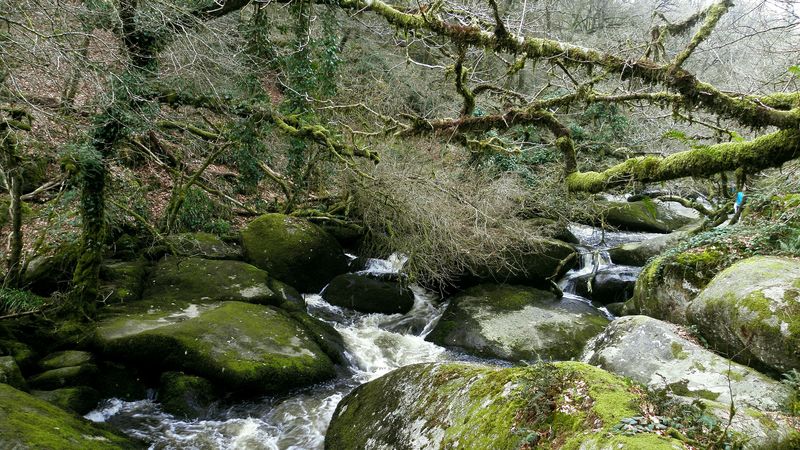 river, rocks, flowing, forest, nature, 4k