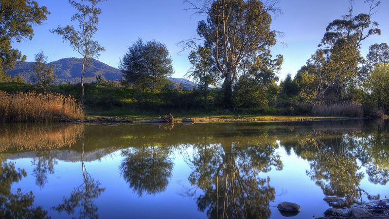 river, trees, nature, landscape, 4k