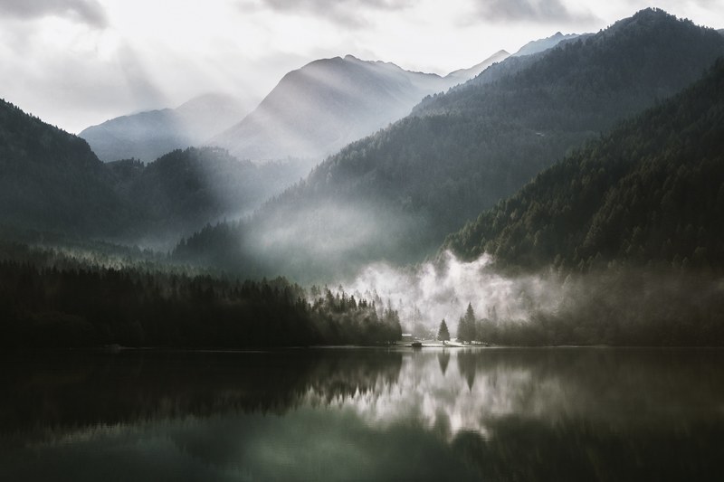 foggy or mystic 4k