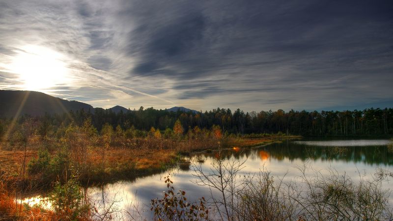 utumn, lake, forest, nature, 4k